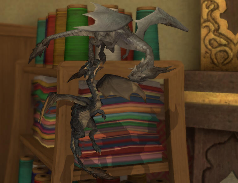 Totka &amp; Rael - Beloved Pets